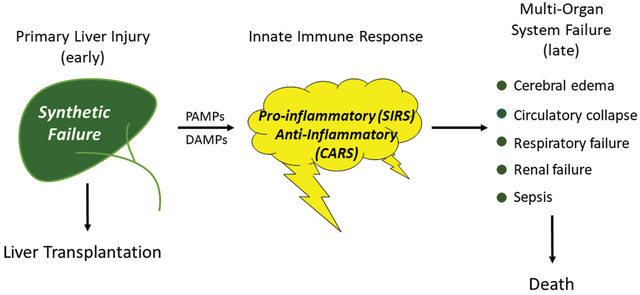 graphic file with name nihms-1936772-f0001.jpg