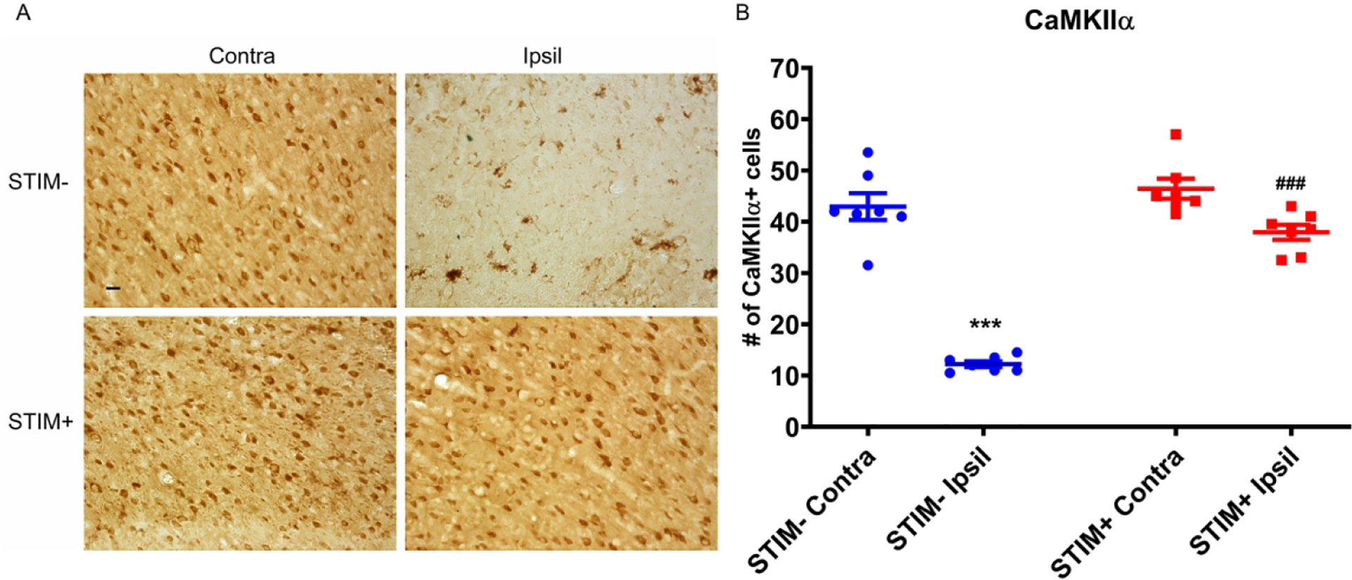 Fig 6: