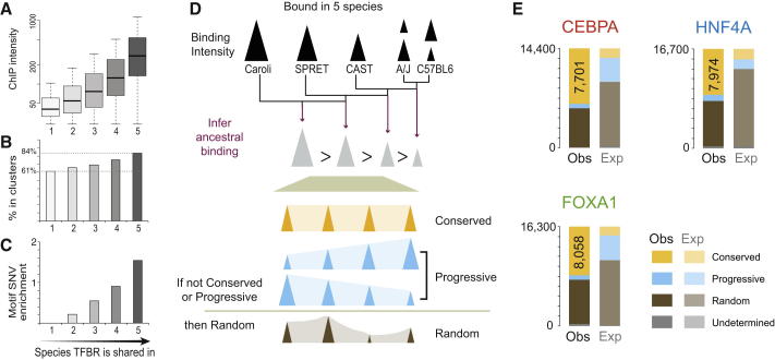 Figure 5