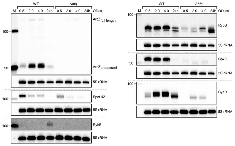 Extended Data Fig. 2