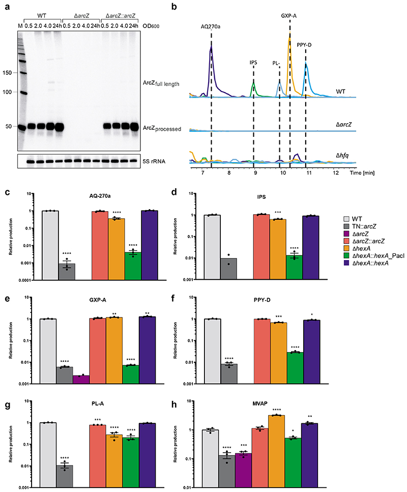 Figure 2a