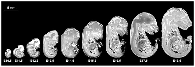 Figure 13