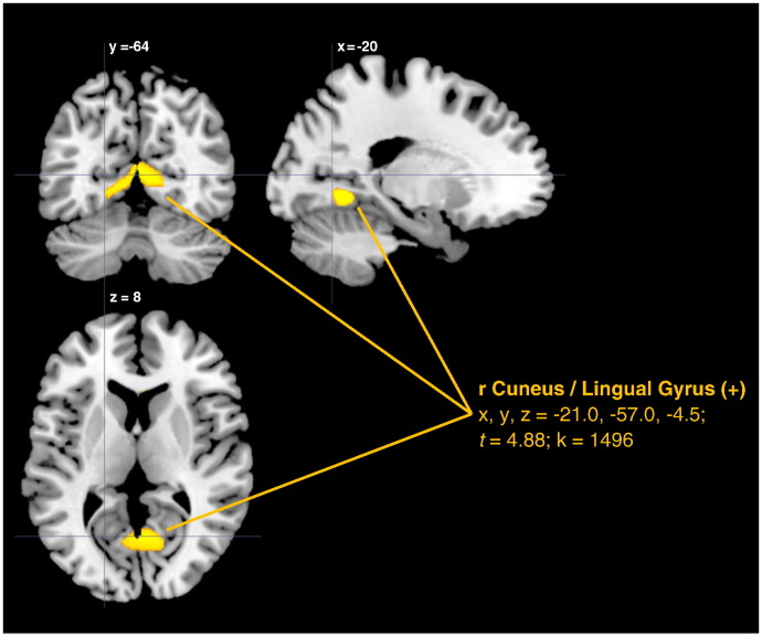 Fig. 2