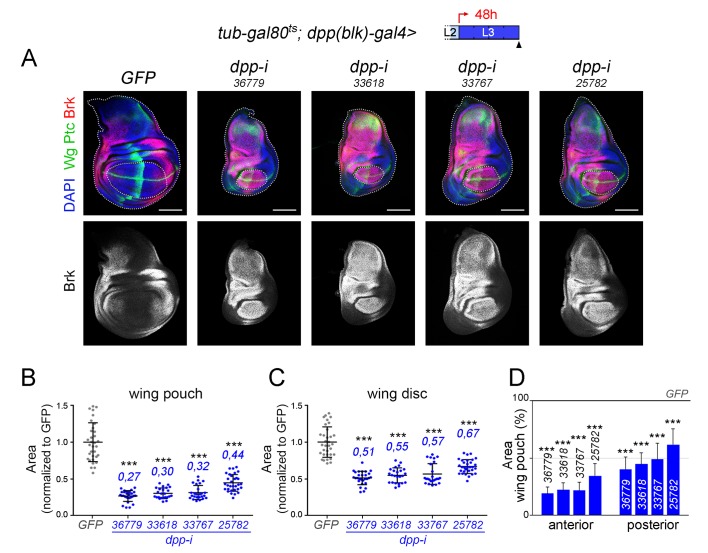 Figure 4—figure supplement 3.