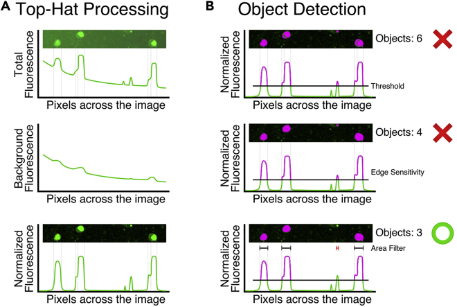 Figure 3