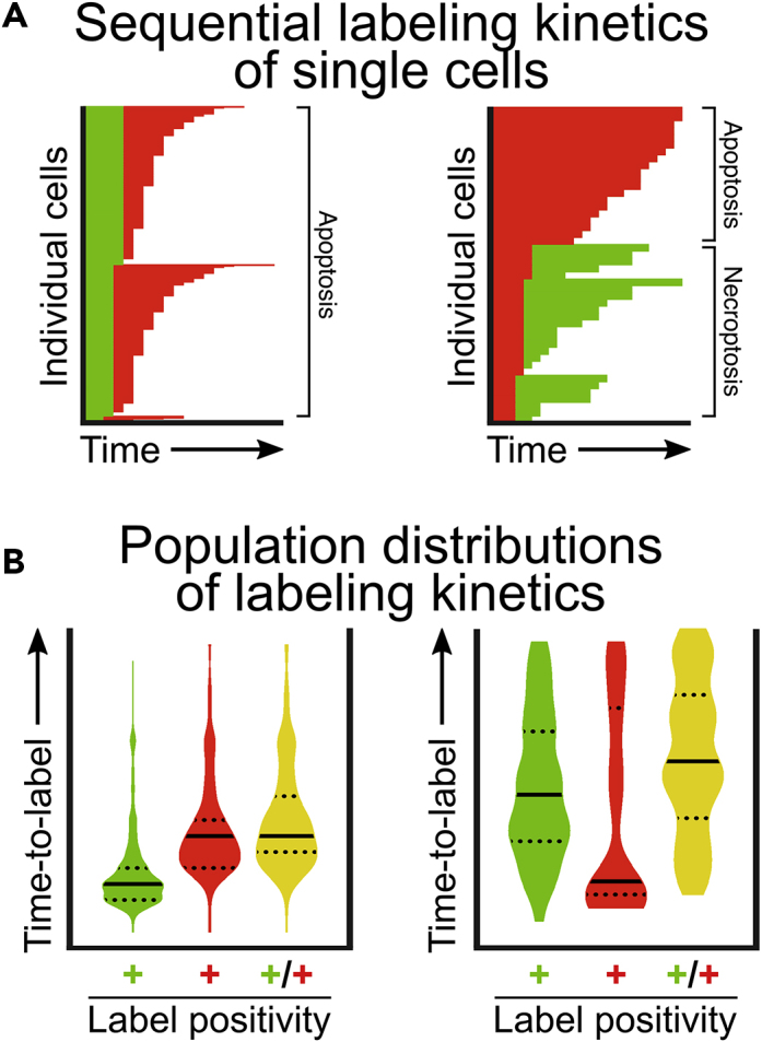 Figure 7