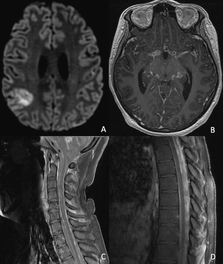 Fig. 2