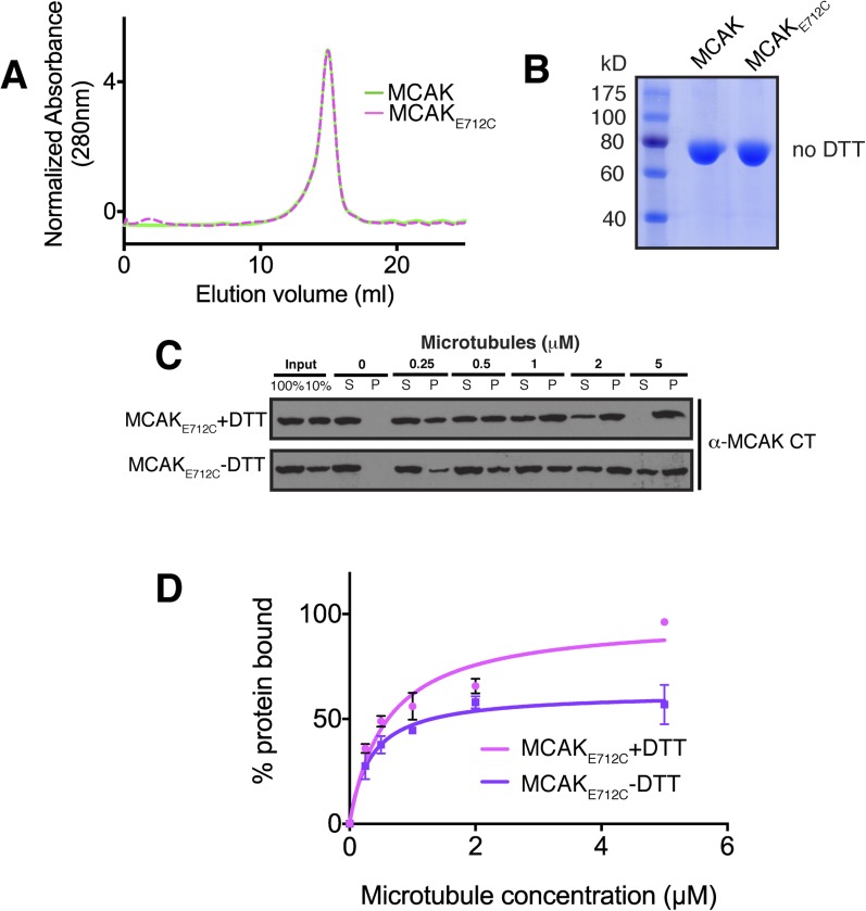 Figure 6—figure supplement 2.