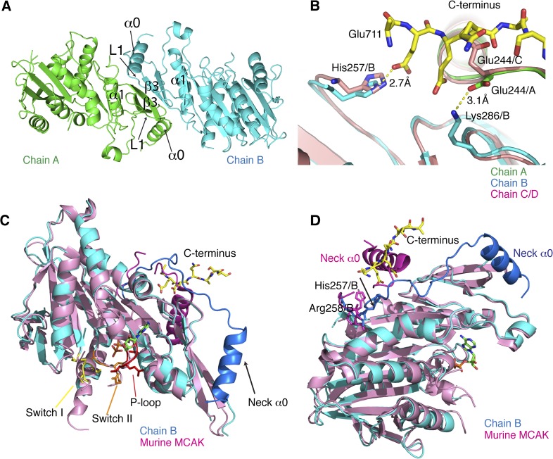 Figure 3—figure supplement 1.