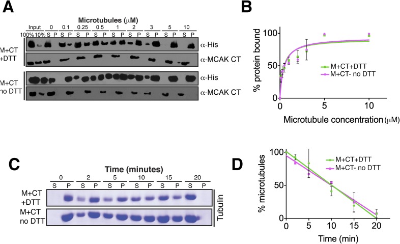 Figure 6—figure supplement 3.