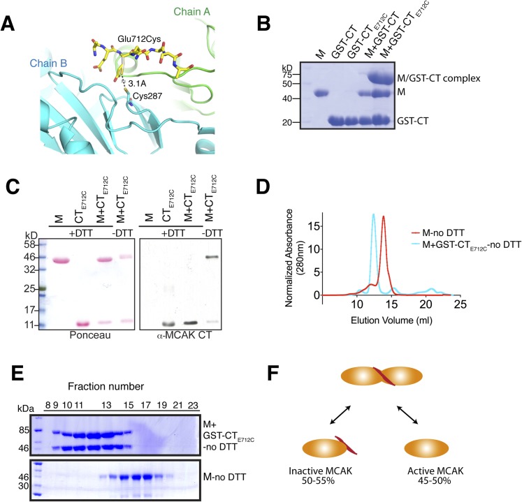 Figure 6—figure supplement 1.