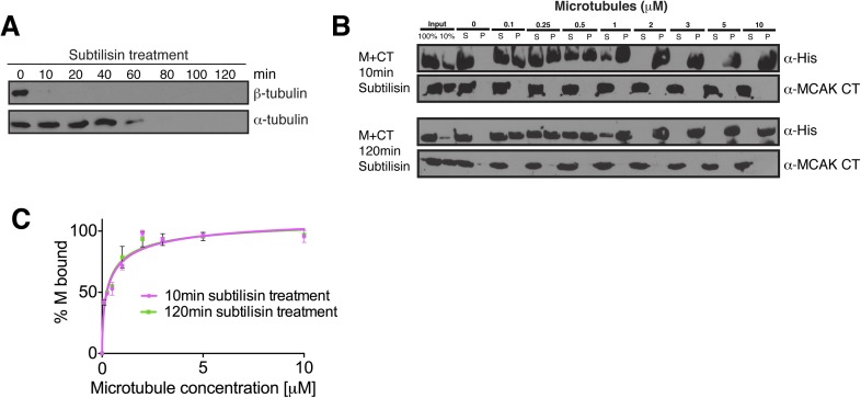 Figure 7—figure supplement 1.