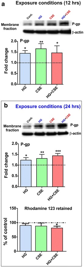 Figure 5