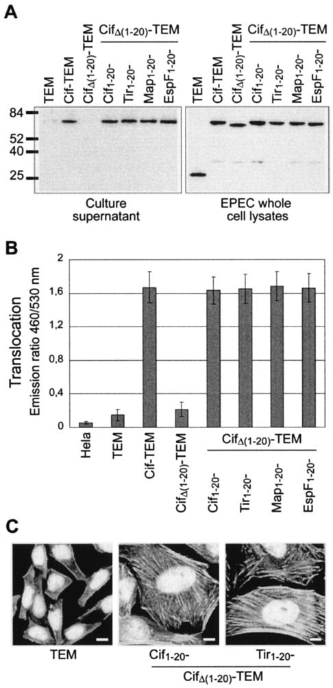 FIG. 6.