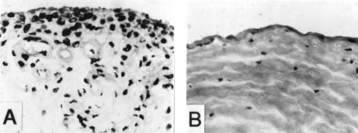 Figure 2  