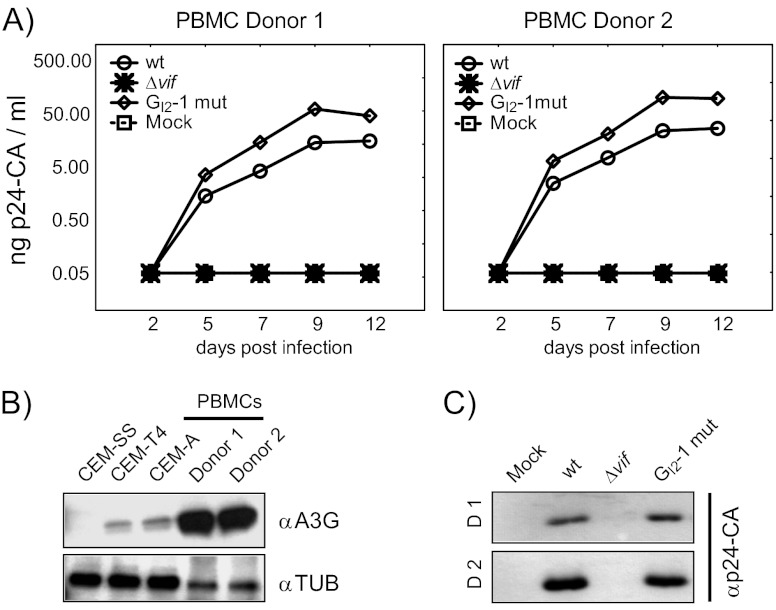 Fig 6