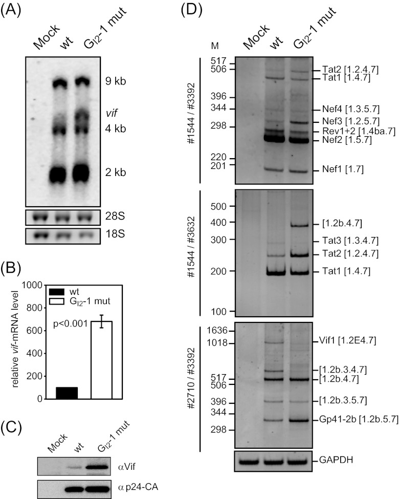 Fig 4