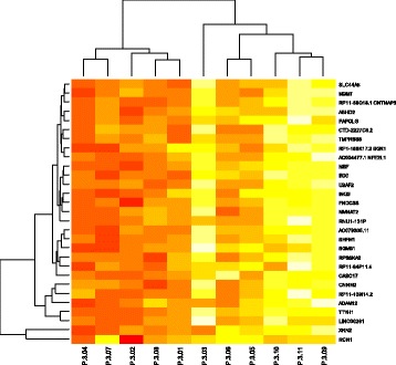 Global analysis of H3K27me3 as an epigenetic marker in prostate cancer ...