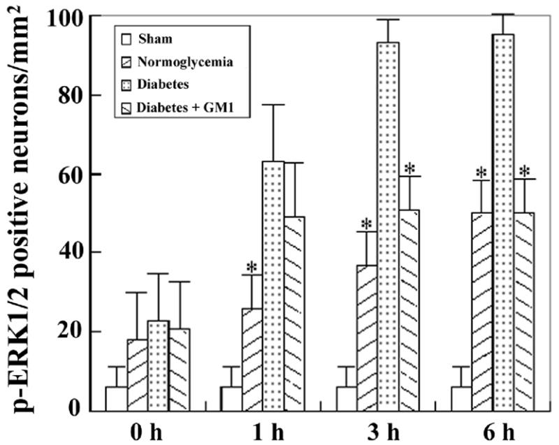 Fig. 12