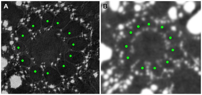 Figure 13