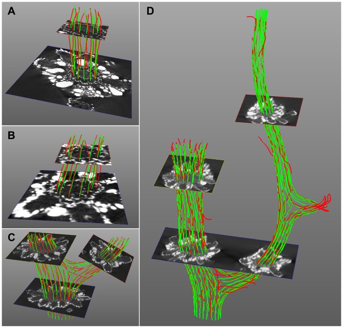 Figure 11
