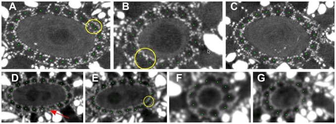 Figure 12