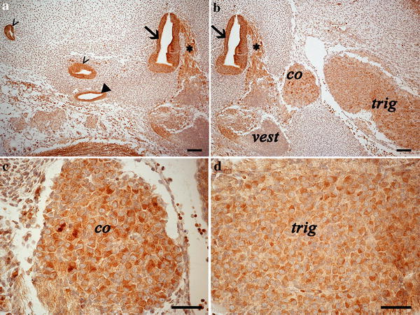 Fig. 4