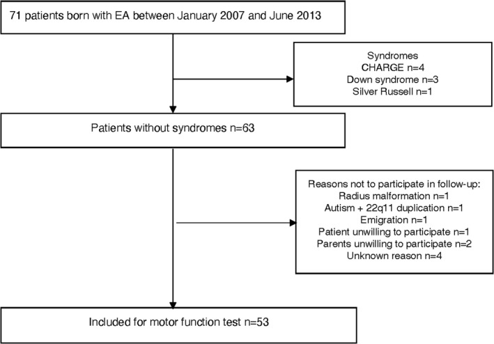 FIGURE 1