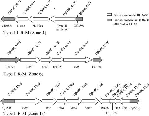 FIG. 3.