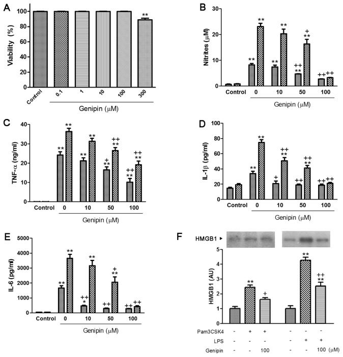 Figure 11