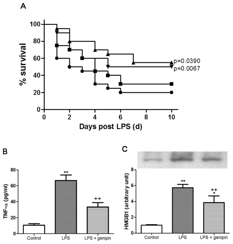 Figure 10