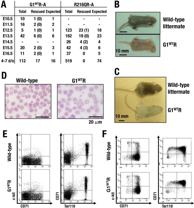 FIG 10