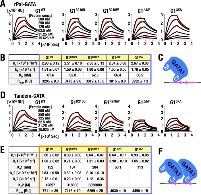 FIG 3