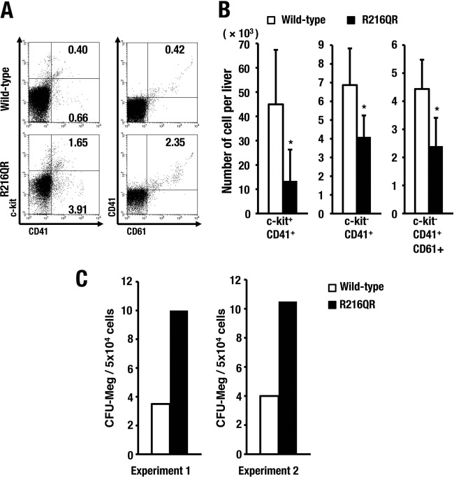 FIG 12