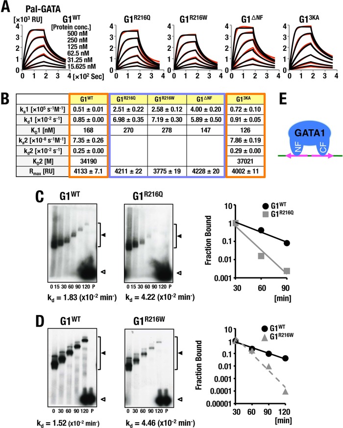 FIG 2