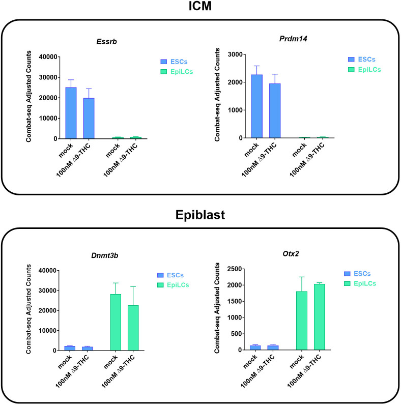 Figure 5—figure supplement 1.