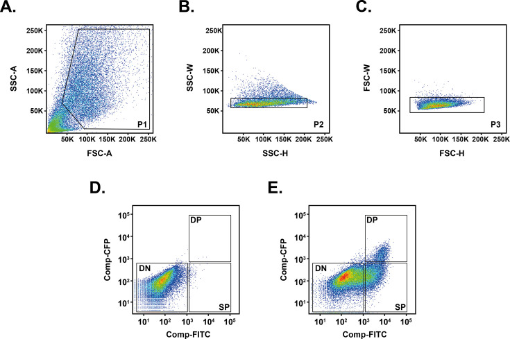 Figure 6—figure supplement 1.