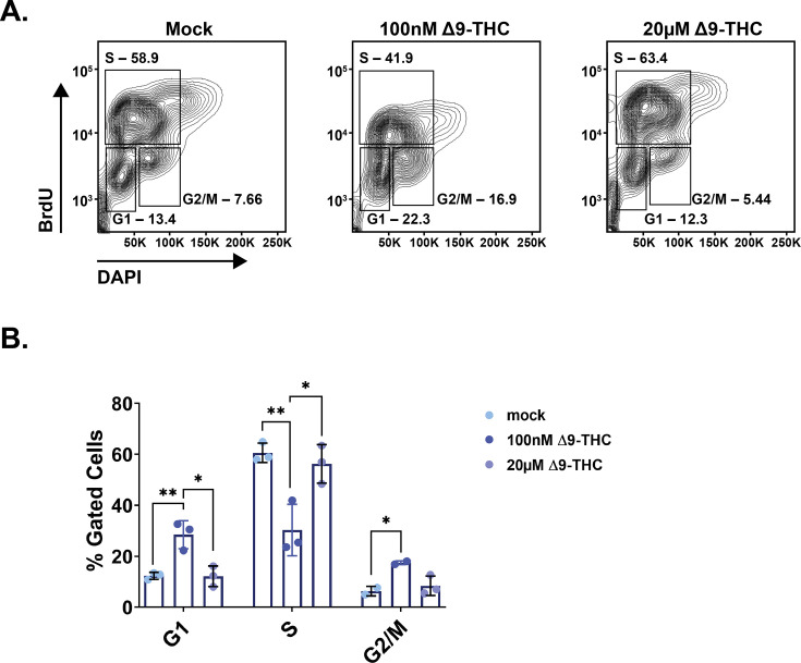 Figure 1—figure supplement 2.