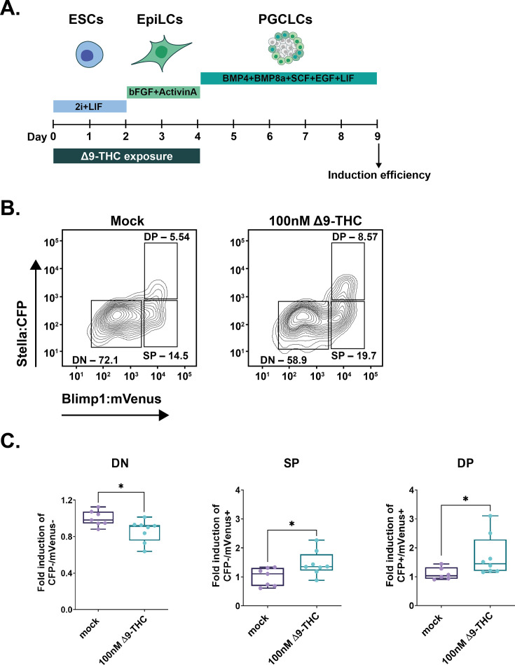 Figure 6—figure supplement 2.