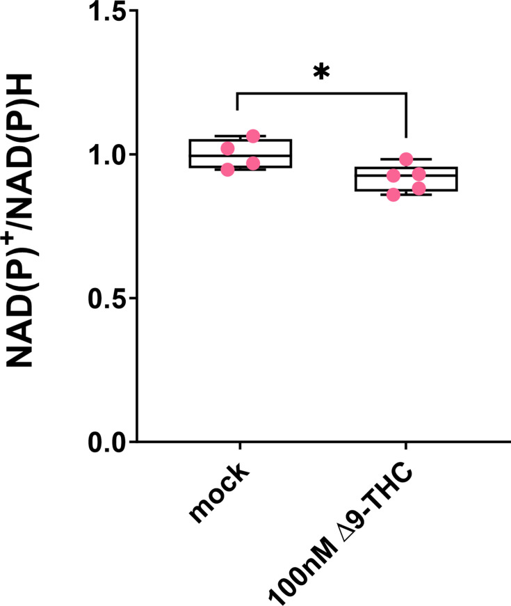 Figure 3—figure supplement 1.