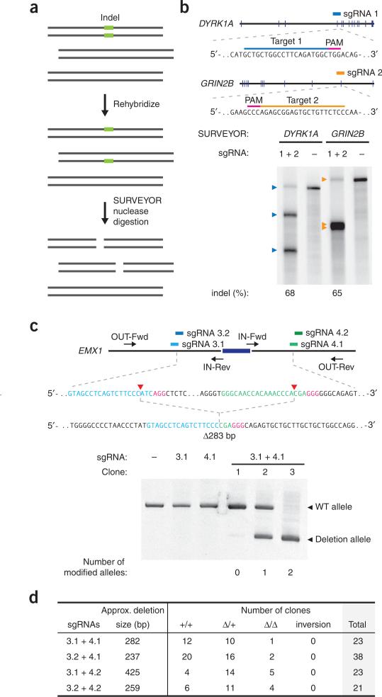 Figure 5