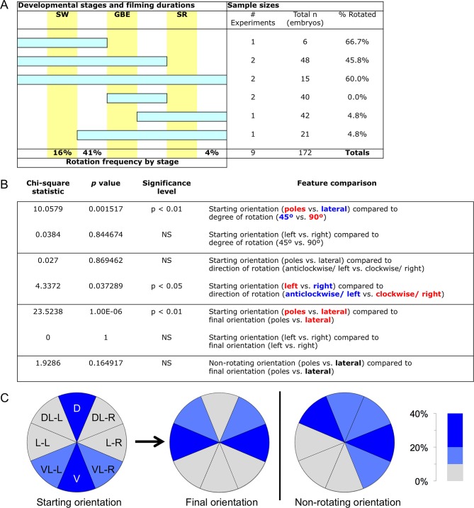 Figure 6—figure supplement 1.