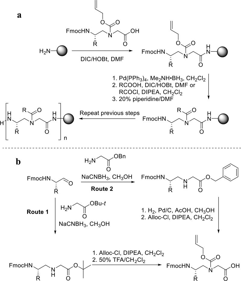 Scheme 1