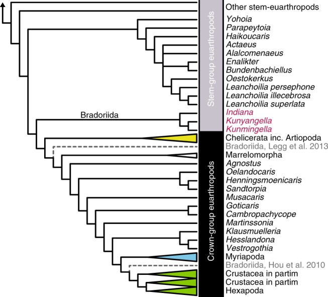 Fig. 4