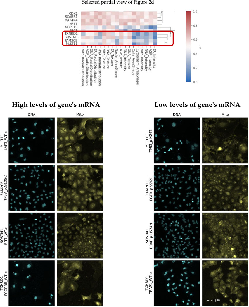 Extended Data Fig. 4