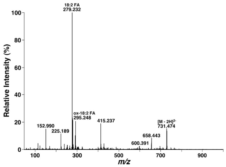 Fig. 12