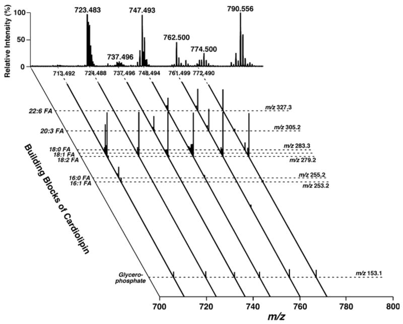 Fig. 11