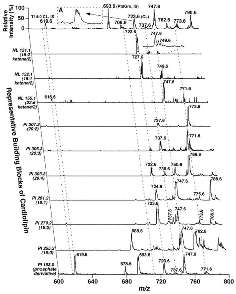 Fig. 4