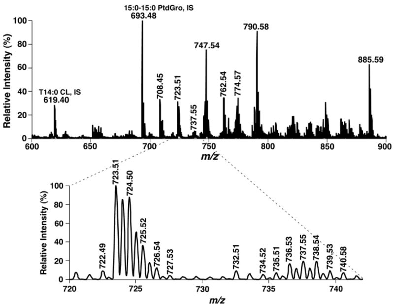 Fig. 7