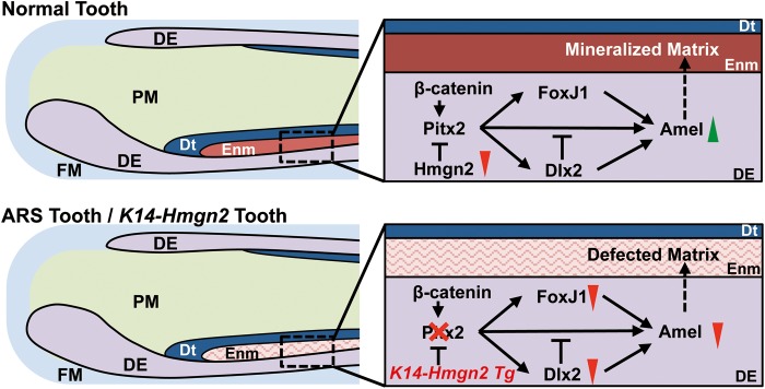 Figure 9.